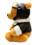 Pilot Pooh Bear, Vintage Disney Plush, Winnie the Pooh, 12"