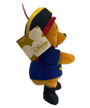 Pirate Pooh, Vintage Disney Plush, Winnie the Pooh, 8"