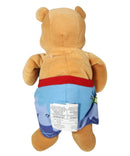 Summer Pooh, Vintage Disney Plush, Winnie the Pooh, 8"