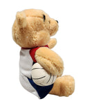 Volleyball Pooh, Vintage Disney Plush, Winnie the Pooh, 8.5"