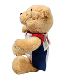 Volleyball Pooh, Vintage Disney Plush, Winnie the Pooh, 8.5"