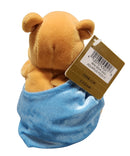 Aquarius Pooh, Vintage Disney Plush, Winnie the Pooh, 8"
