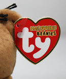Ty Halloweenie Beanies - Hocus the Bear With a Pumpkin