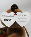Ty Halloweenie Beanies - Hocus the Bear With a Pumpkin