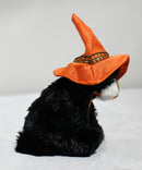 Ty Halloweenie Beanies - Screams the Cat Witch