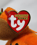 Ty Halloweenie Beanies - Treatsies the Pumpkin Teddy