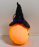 Ty Halloweenie (Key Clip) - Witchy the Pumpkin