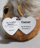 Puffies- Caesar the Lion, Glitter Eyes