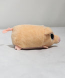 Teeny Tys - Curly the Pig