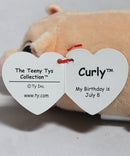 Teeny Tys - Curly the Pig