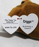 Teeny Tys - Diggs the Boxer Dog