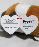 Teeny Tys - Gypsy the St. Bernard