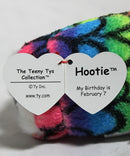 Teeny Tys - Hootie the Rainbow Owl