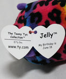 Teeny Tys - Jelly the Rainbow Leopard