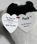 Teeny Tys - Puck the Panda Bear