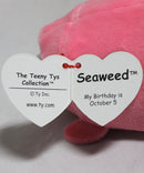 Teeny Tys - Seaweed the Pink Seal