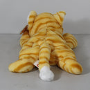 Ty Beanie Baby - Amber II the Cat, 30th Anniversary