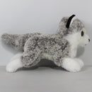 Ty Beanie Baby - Baltic the Husky