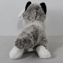 Ty Beanie Baby - Baltic the Husky