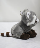 Ty Beanie Baby - Bandit the Raccoon, Glitter Eyes
