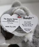 Ty Beanie Baby - Bandit the Raccoon, Glitter Eyes