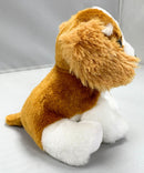 Ty Beanie Baby - Barker the Dog, Glitter Eyes