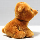 Ty Beanie Baby - Brownie the Teddy Bear, Glitter Eyes