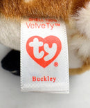Ty Beanie Baby - Buckley the Deer, Glitter Eyes