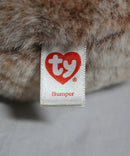 Beanie Babies- Bumper the Hedgehog, Glitter Eyes