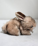 Ty Beanie Baby - Buster the Fluffy Brown Bunny, Solid Eyes