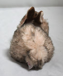 Ty Beanie Baby - Buster the Fluffy Brown Bunny, Solid Eyes