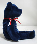 Beanie Babies- Champion (Chicago Cubs), Solid Eyes