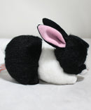 Beanie Babies- Checkers the Rabbit, Solid Eyes