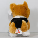 Ty Beanie Baby - Colin the Corgy