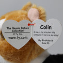 Ty Beanie Baby - Colin the Corgy