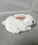 Ty Beanie Baby - Cotton the White Bunny, (3")