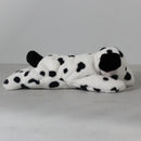 Ty Beanie Baby - Dotty II the Dog, 30th Anniversary