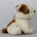 Ty Beanie Baby - Houghie the Bulldog, Glitter Eyes