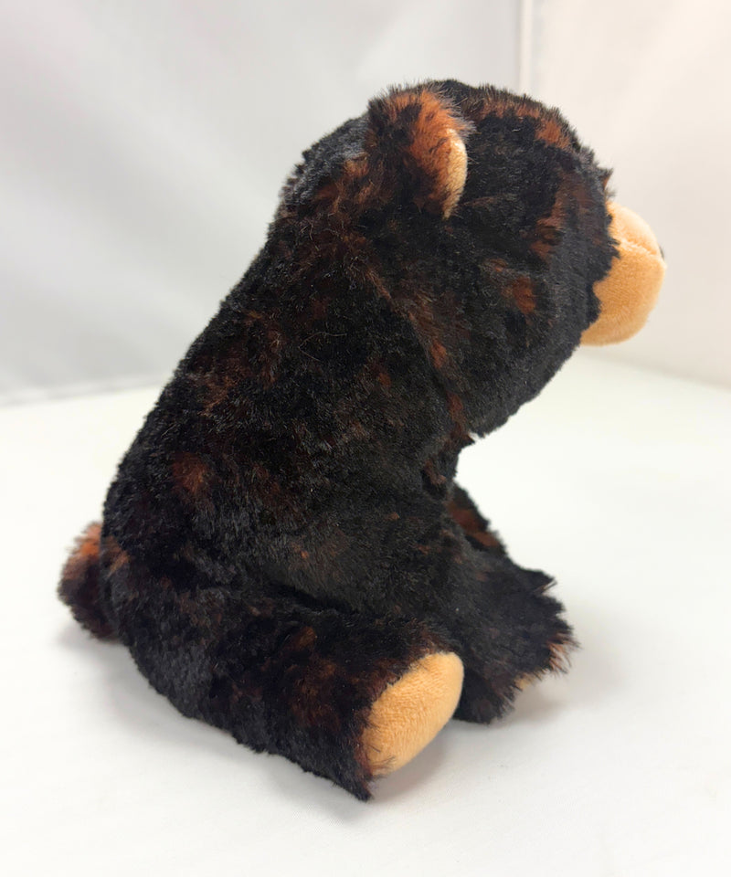 Ty Beanie Baby - Kodi the Bear, Glitter Eyes