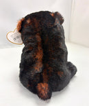 Ty Beanie Baby - Kodi the Bear, Glitter Eyes