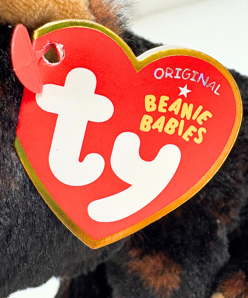 Ty Beanie Baby - Kodi the Bear, Glitter Eyes