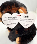 Ty Beanie Baby - Kodi the Bear, Glitter Eyes
