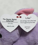 Ty Beanie Baby - Lilac the Purple Bunny