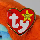 Ty Beanie Baby - Molasses the Sloth, 30th Anniversary