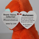 Ty Beanie Baby - Molasses the Sloth, 30th Anniversary