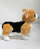 Beanie Babies- Otis the Corgi Dog, Solid Eyes