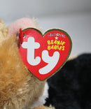 Beanie Babies- Otis the Corgi Dog, Solid Eyes