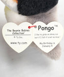 Ty Beanie Baby - Pongo the Penguin, Glitter Eyes