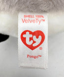 Ty Beanie Baby - Pongo the Penguin, Glitter Eyes