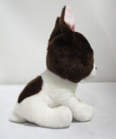 Beanie Babies- Portia the Boston Terrier, Glitter Eyes